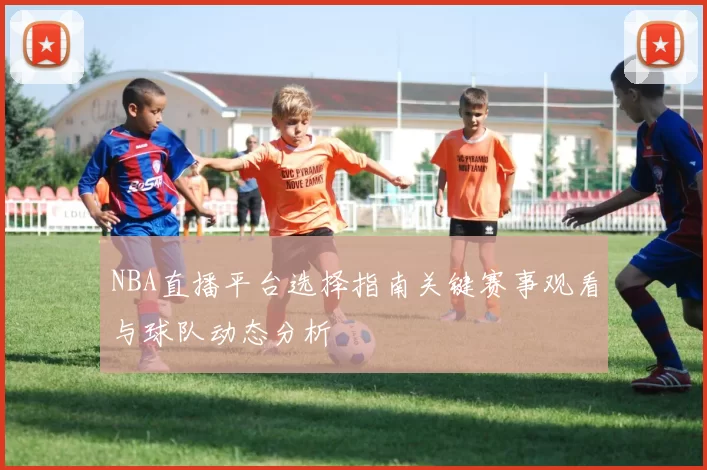 NBA直播平台选择指南关键赛事观看与球队动态分析