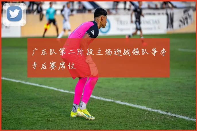 广东队第二阶段主场迎战强队争夺季后赛席位
