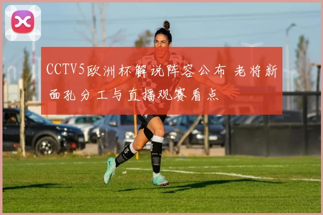 CCTV5欧洲杯解说阵容公布 老将新面孔分工与直播观赛看点