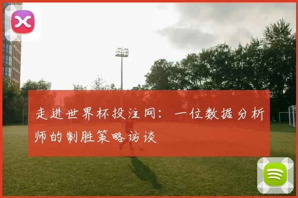 走进世界杯投注网：一位数据分析师的制胜策略访谈