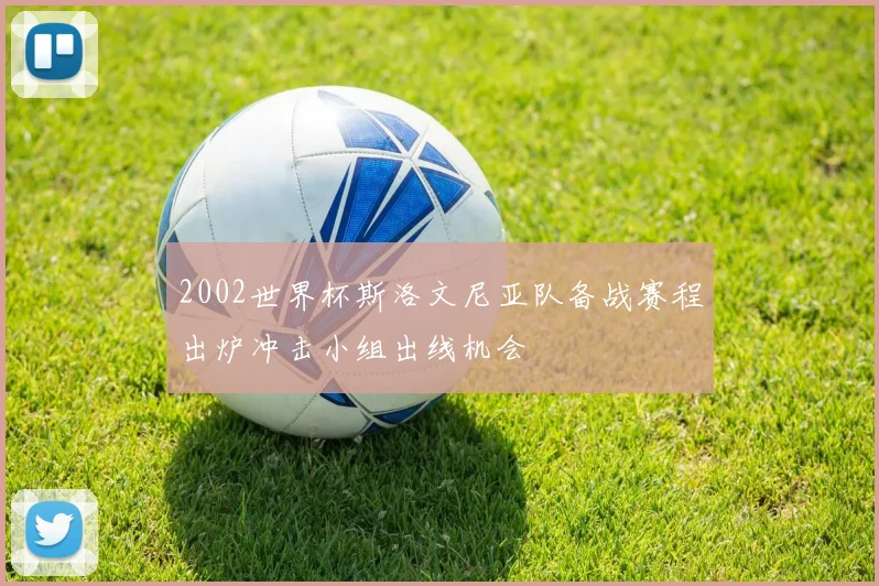 2002世界杯斯洛文尼亚队备战赛程出炉冲击小组出线机会