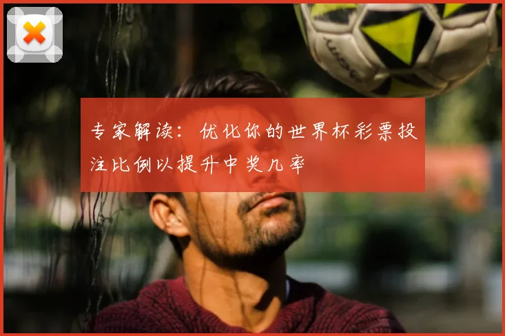 专家解读：优化你的世界杯彩票投注比例以提升中奖几率