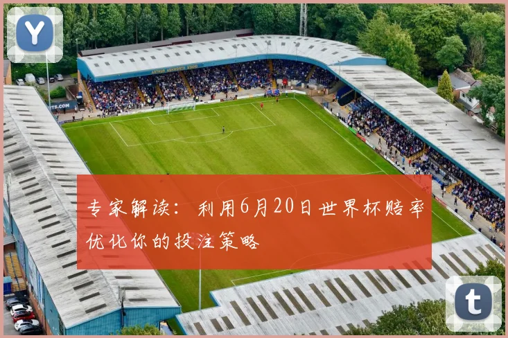 专家解读：利用6月20日世界杯赔率优化你的投注策略