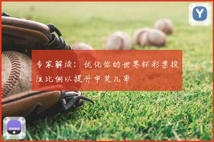 专家解读：优化你的世界杯彩票投注比例以提升中奖几率